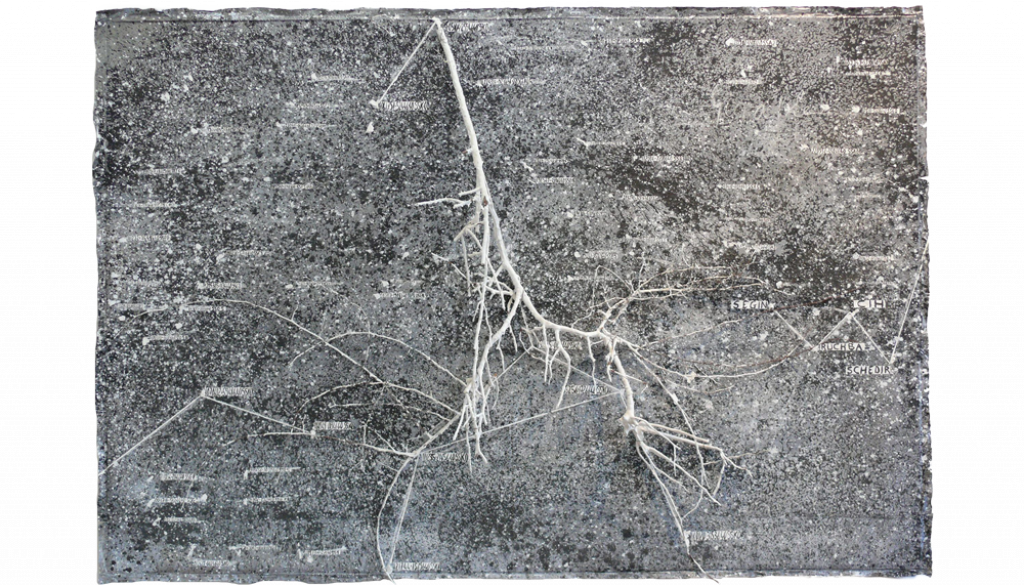 Ein Werk der Serie "Secret Life of Plants for Robert Fludd". Auf dunkelgrauem Untergrund sind helle und dunkle Flecken, Buchstaben- und Zahlencodes und Sternnamen. In ein weißes Liniengebilde wurde ein weißer Ast eingebunden.